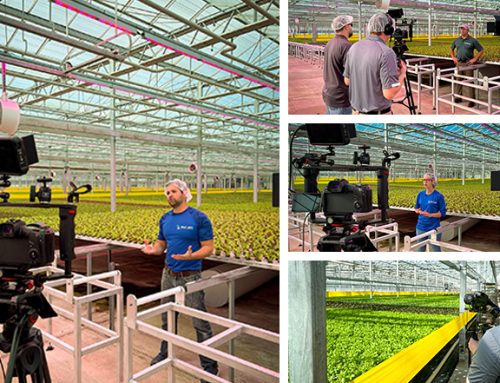 Showcasing Hydroponics: Great Lakes Growers Video Production