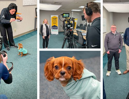 Capturing Fresh Content with Ahola